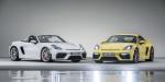 Porsche 718 Cayman GT4 2019 года (WW)